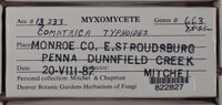 Image Associated With the Occurence